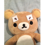 Teddy Bear Co