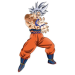 kame zozu