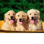 Animal Loverz!!!!!