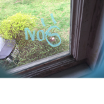 eli_jax