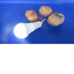 potatos are the future