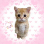 .For my friends.