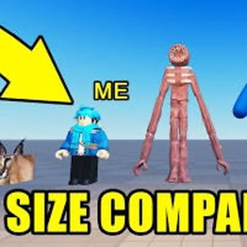better size comparison