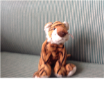 Tiger's fan club