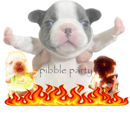 pibble hq