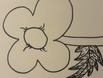 *-*The Flower Kingdom*-*