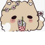!¡Boba Army¡!