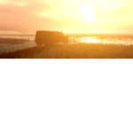 FWRP, FaIklands War Roleplay