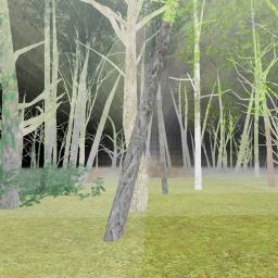 The Forest