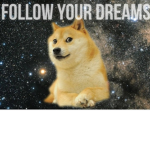 The awesome doge crew