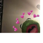 The Kermit fam