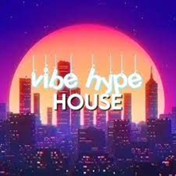 Vibe House