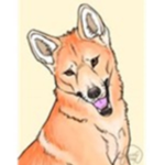 DDDingo Crew