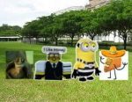The different Gang