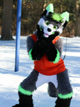 furry gng