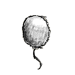 Sketch Balloon