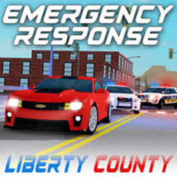 emergency response: liberty county 2
