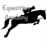 Horse Equine Academy