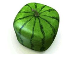 THE MELON CLUB >:D
