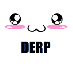 derps meeting