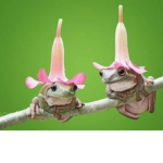 FROGE AMRYYYY