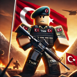 TNM-Etkinlik Alanı