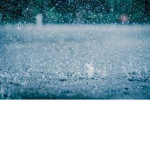 Rain's Gr0up