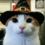 Hi8ggu