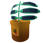 #59 Photosynthetic plant turky