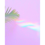 DreamClub
