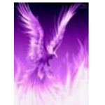 Purple Wizards