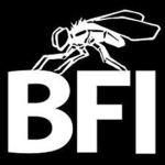 BadFly Interactive