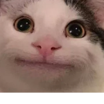 Dino nugget ####