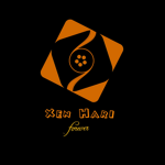Moonlight star gamer