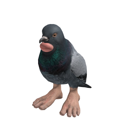 Sigeon Whispering Pigeon Tiki