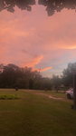 Sunset_Aesthetics.10's group