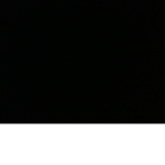 Siri head FANNN