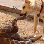 Snek's and Doge's hangout