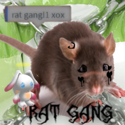 rat hide out