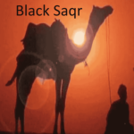 Black Saqr