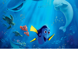 Dory