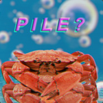 the pile