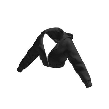 Black Cropped Y2K Zip Hoodie | Roblox Item - Rolimon's