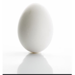 The Club of Egg