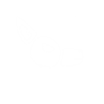 Doberman Clothing