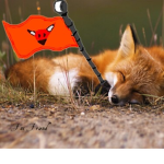 Fox Fans Group