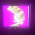 FAT LIZARD