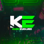 K$ ACADEMY