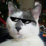 THE COOL CAT GROUP FOR COOL PEOPLE