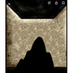 RockClan (fanmade group)